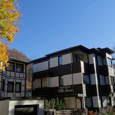 Pension Villa Irene Bad Harzburg Exterior photo