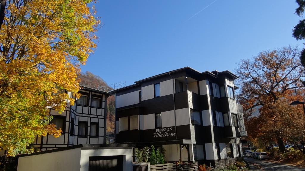 Pension Villa Irene Bad Harzburg Exterior photo